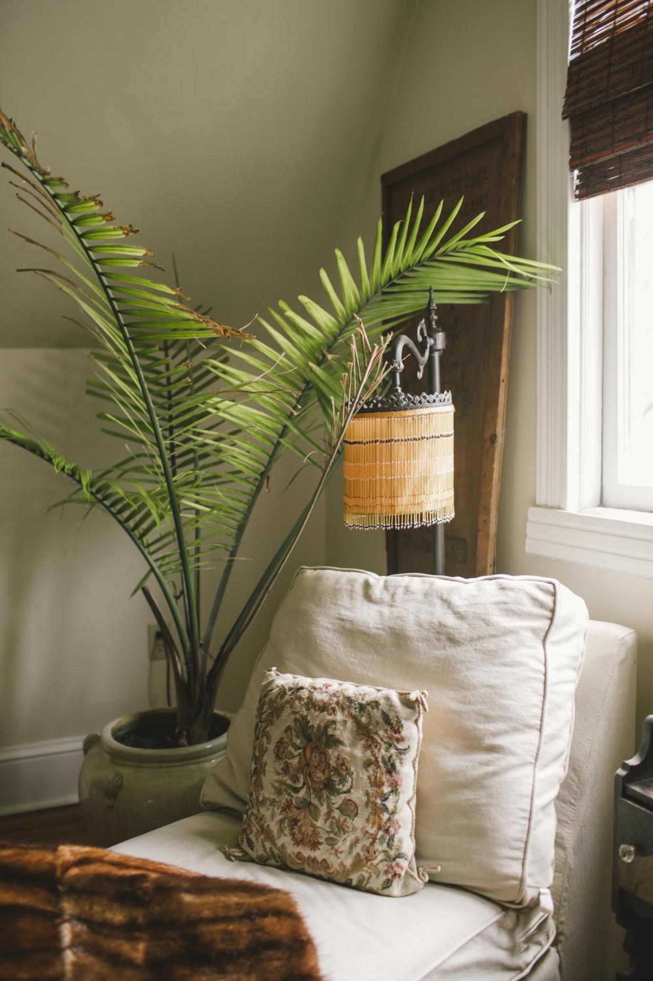 10 Clarke Bed & Breakfast Frederick Ruang foto
