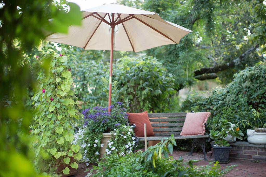 10 Clarke Bed & Breakfast Frederick Bagian luar foto